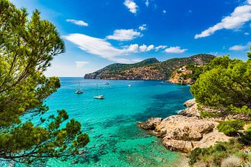 Prachtig uitzicht op de baai van Camp de Mar, aan zee op Mallorca van Alex Winter