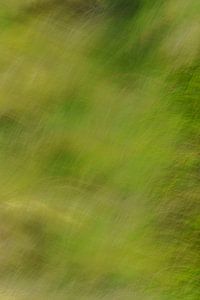 Abstraktes Gras 1
