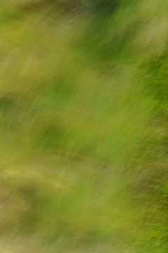 Abstraktes Gras 1 von Pieter van Roijen