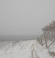 Minimalistische Küstenlandschaft auf den Lofoten