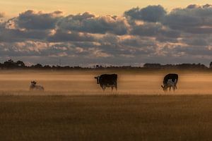 Sonnenaufgang auf dem Bauernhof # 2 von Michiel Leegerstee