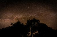 The Milky Way galaxy with the Andromeda nebula at the top.