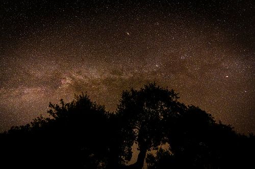 Het Melkwegstelsel met de Andromeda nevel bovenin.