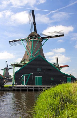 Verfmolen, de Kat