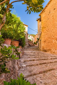 Oud mediterraan dorp Fornalutx op het eiland Mallorca, Spanje Balearen van Alex Winter
