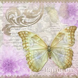 Weißer Morpho by christine b-b müller