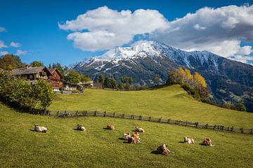 Uitzicht vanaf Zedlach naar het Iseltal met de Rotenkogel (2.762 m), Virgental van Christian Müringer