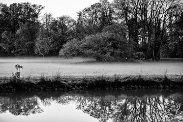 Landschaft im Nebel von Thomas Riess