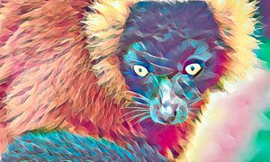 Lemur, farbenfroher Look
