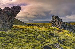 Bemost Vulkanlandschaft (Hveragerði; Island) von Bep van Pelt- Verkuil