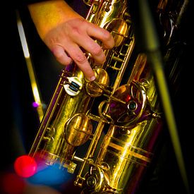 Vue détaillée d'un saxophone alto sur Tjeerd Knier