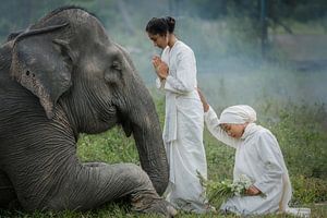 Respekt vor der Natur und dem Tierreich