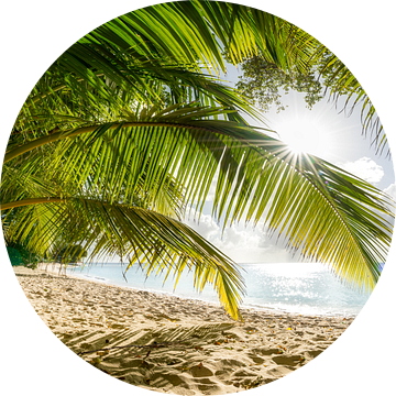 Strand met palmbomen op het Caribische eiland Barbados. van Voss Fine Art Fotografie