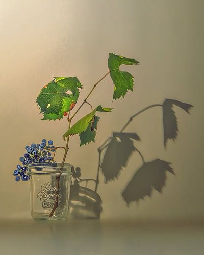LES QUATRE SAISONS, Été
