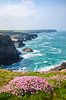 Frühling an Cornwalls Küste von Silvio Schoisswohl Miniaturansicht