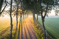 Wierumerschouwsterweg bij Zonsopkomst van Droninger thumbnail