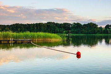 Landscape on a lake with buoy