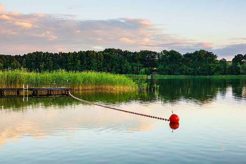 Landschaft am Kleinen Pälitzsee bei Pälitzhof par Rico Ködder