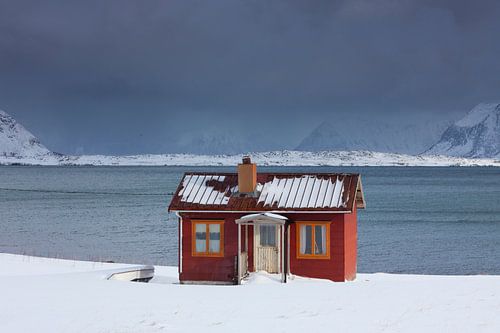 Cabane Lofoten