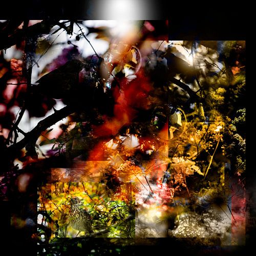 DREAMY FEEDING TIME AT XMAS