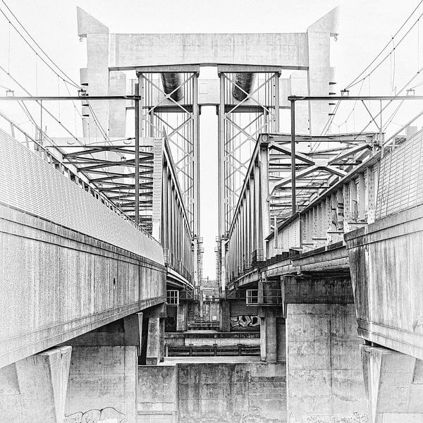 Pig right bridge by harry de jong