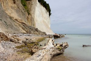 falaises de craie