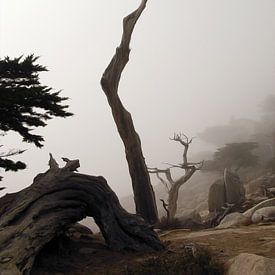 Dode bomen aan de kust in Californië van Rob Jansen