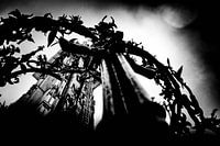 Spikes