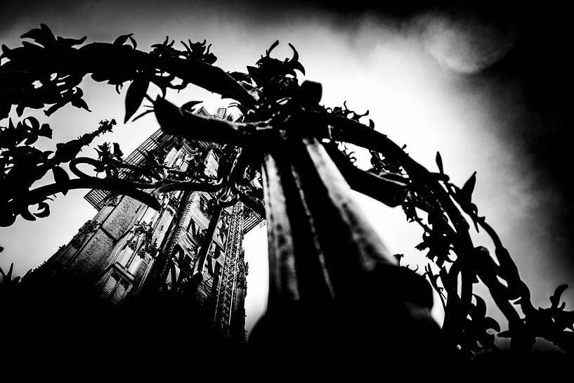 Spikes by Leen Dert
