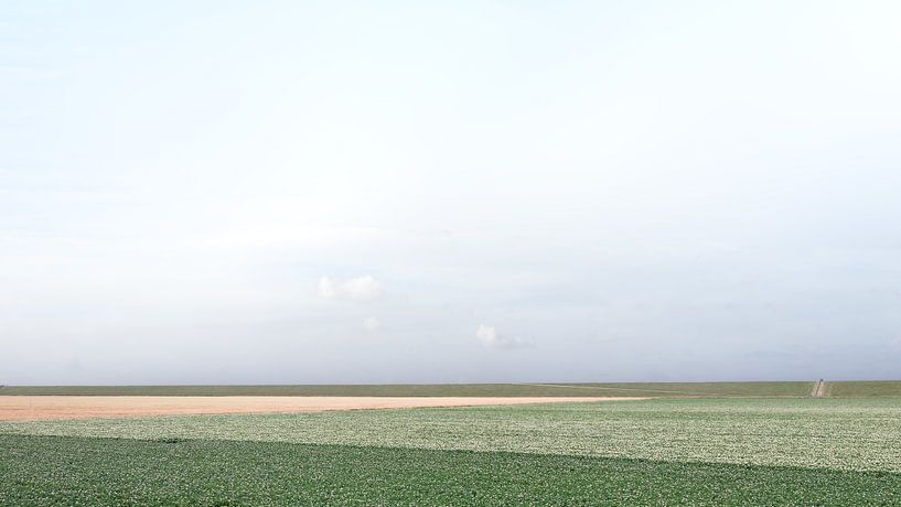 Dijkshoek by Rob Liefveld
