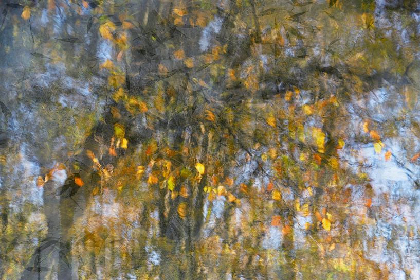 Bunter Herbst mit fallenden Blättern von Jeannet Zwols  Fotografie
