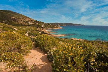 Küstenweg an der Cote d'Azur von Tanja Voigt