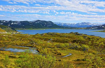 Nordic Beauty - herrliche Landschaft in Lappland - Norwegen von Gisela Scheffbuch