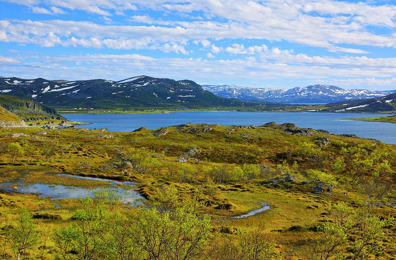 Nordic Beauty - herrliche Landschaft in Lappland - Norwegen van Gisela Scheffbuch