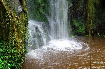 Waterval plons van Frank's Awesome Travels