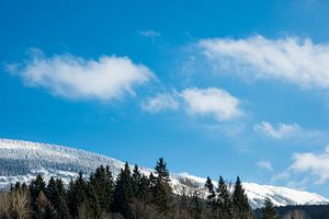 Winter with snow in the Giant Mountains van Rico Ködder