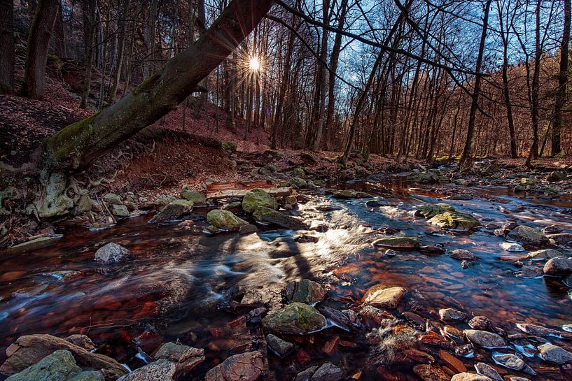 Mountain river La Hoëgne in the Ardennes by Rob Boon