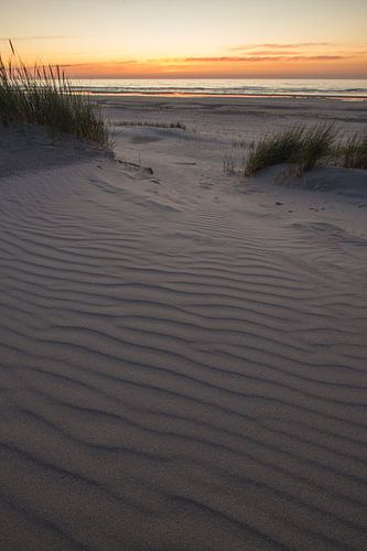 Wind ribs in the dunes