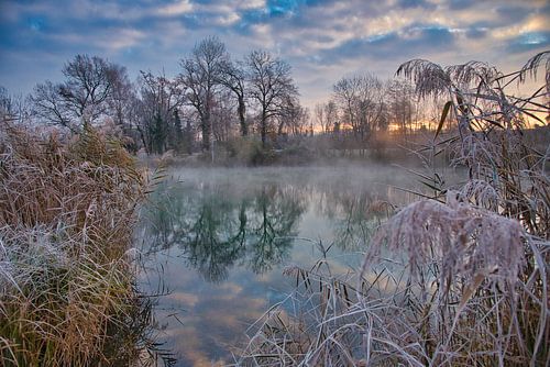 De schoonheid van kou