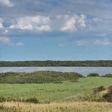 Landscape with grass, a lake and a cloudy blue sky at Swanwater, Callantsoog