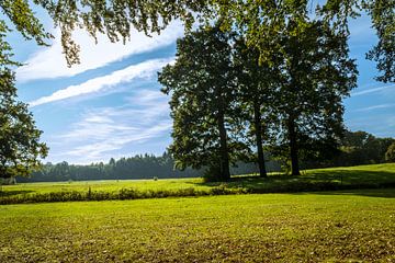 Rolling landscape by Pascal Raymond Dorland