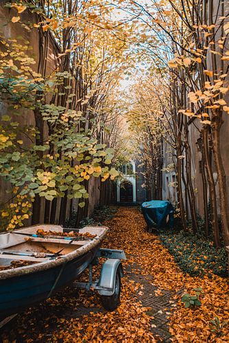 Farben des Herbstes