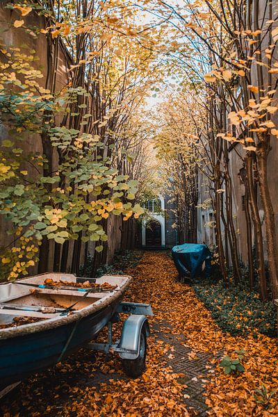 Colours of autumn by Dayenne van Peperstraten