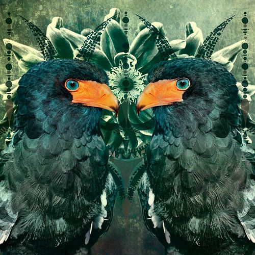 Miroir de l'âme - Bateleur mystique sur Saranda Foto Art