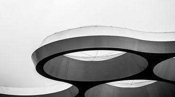 The Bulb Roof in black and white by De Utrechtse Internet Courant (DUIC)