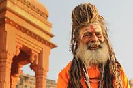 Sadhu, holy man in India by Gonnie van de Schans thumbnail