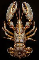 Lobster Luxe -Golden Bling Bling CANCER - LOBSTER