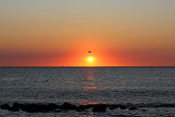 Zonsondergang aan het strand