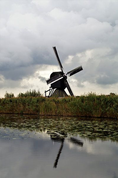 Kinderdijk, Alblasserdam, die Niederlande - Mühlenerbe von Maurits Bredius
