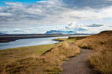 IJslands landschap bij de basaltrotsen van Hvítserkur van Thomas Heitz